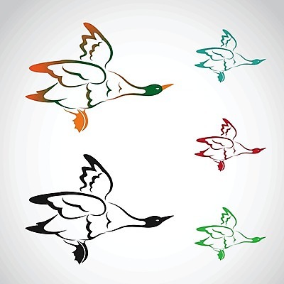 EPS 해외이미지 동물 디자인 계절 여자 실루엣 야생동물 날개 일러스트 조류 추상 오리 동물원 미술 물 반려동물 농장 검은색 흰색 깃털 그림 꼬리 사냥 부리 목 거위 솜털 물새 허벅지 청둥오리 계산서 고립 마스코트 민물 해외202004 해외일러스트 자연요소 컬러 무늬 농업 문화예술 촬영기법 사람 신체부위 파일형식 벡터 이미지허브