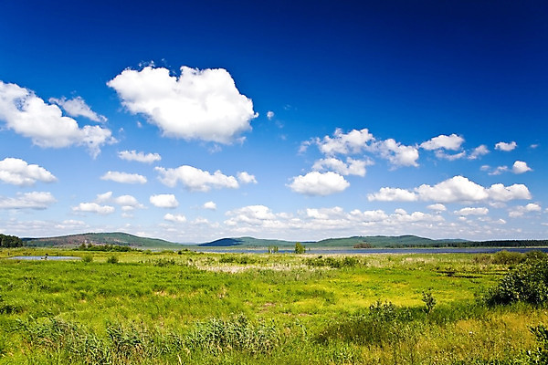 포토 JPG 해외이미지 나무 구름 계절 공원 야생동물 여행 잎 밭 자연 갈대 사람없음 야외 가로 초록색 물 여름 강 여행객 환경 봄 활발 젖음 시골 습지 크루즈 전국 해외202004 해외포토 자연요소 식물 동물 공공시설 컬러 컨셉 농업 배_교통 사람 생태계 파일형식 이미지허브