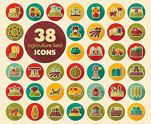 EPS 해외이미지 밭 농업 일러스트 비행기 풍경 사람없음 물 농장 흙 흐름 수확 면 붓기 해충 건초더미 농부 결합 밀 먼지떨이 물주기 트랙터 메뚜기 외양간 밭일 스프링쿨러 쟁기 세련 해외202004 해외일러스트 자연요소 직업 산업 곤충 컨셉 항공교통 모션 대중교통 곡류 벌레 건초 농기계 청소도구 특수차량 파일형식 벡터 더미 동물 교통수단 자동차 도구 청소 육상교통 교통 이미지허브