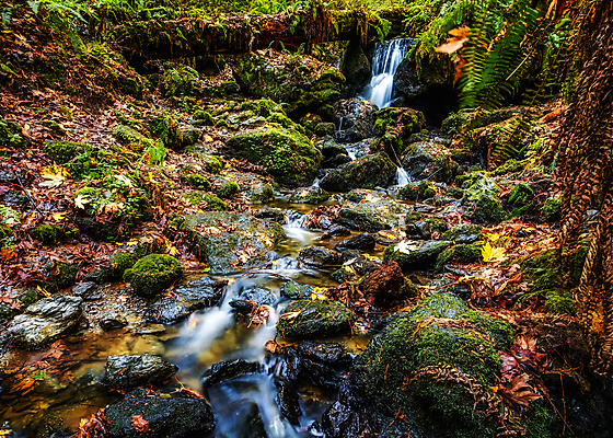 포토 JPG 해외이미지 나무 공원 여행 백그라운드 잎 모션 자연 산 풍경 사람없음 야외 목재 초록색 물 여름 강 노란색 환경 침묵 놀람 폭포 흐름 가을 신선 개울 숲 장면 암초 공상 크로아티아 내추럴 해외202004 해외포토 자연요소 식물 계절 공공시설 감정 유럽 컬러 컨셉 재료 표정 소리 생태계 파일형식 이미지허브