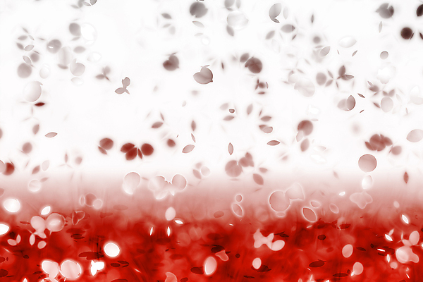 JPG 해외이미지 꽃잎 꽃 백그라운드 일러스트 사람없음 빨간색 그라데이션 카피스페이스 해외202004 해외일러스트 식물 컬러 공백 파일형식 이미지허브