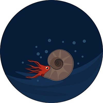 EPS 해외이미지 동물 바다 패턴 일러스트 자연 나선형 소용돌이 껍질 원형 그룹 묘사 그림 질감 달팽이 화석 고생물 멸종 선사시대 내추럴 앵무조개 옛날 해외202004 해외일러스트 도형 무늬 조개 생물 연체동물 회오리 역사 생태계 파일형식 벡터 이미지허브