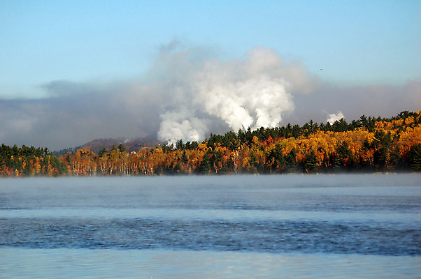포토 JPG 해외이미지 나무 호수 잎 오렌지 자연 불 풍경 사람없음 물 강 노란색 새벽 안개 가을 숲 뿌연 해외202004 해외포토 자연요소 식물 계절 컬러 과일 날씨 생태계 파일형식 이미지허브