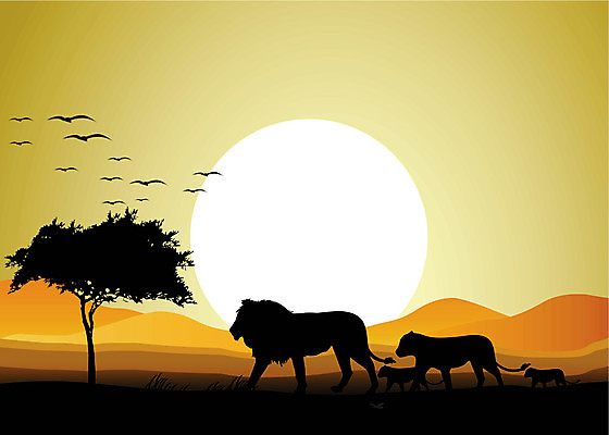 EPS 해외이미지 나무 동물 커플 여자 남자 야생동물 새끼 여행 일러스트 포유류 가족 아프리카 조류 생물 수염 털 풍경 고양이 흰색 쌍 그룹 닫기 군중 위험 사자 큼 모피 사파리 슛 육식동물 팩 갈기 사자자리 남쪽 고립 암사자 많음 해외202004 해외일러스트 식물 나라 컬러 컨셉 관계 모션 사람 반려동물 화장품 별자리 크기 암컷 방향 파일형식 벡터 이미지허브