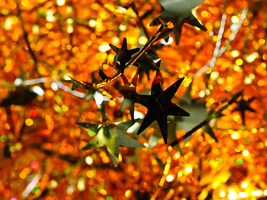 포토 JPG 해외이미지 전통 계절 별 백그라운드 크리스마스장식 크리스마스 추상 휴가 불꽃 조명 새해 주택 기념 실내 사람없음 장식 빛 노란색 파티 축제 장식볼 축하 황금 야간 저녁 12월 묘사 오브젝트 설정 빛망울 광 블러 해외202004 해외포토 자연요소 기념일 컬러 컨셉 무늬 불 이벤트 내부 건물 날짜 파일형식 이미지허브