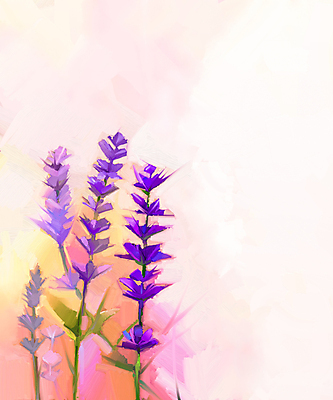 JPG 해외이미지 꽃 일러스트 미술 사람없음 그림 손그림 라벤더 유화 해외202004 해외일러스트 식물 문화예술 허브 파일형식 이미지허브