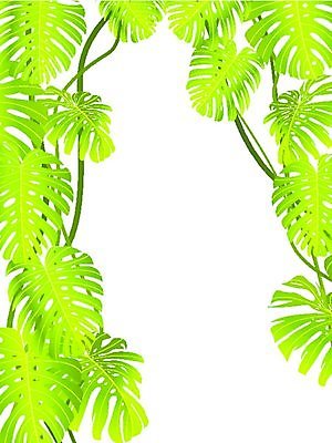EPS 해외이미지 클립아트 모양 나무 식물 디자인 꽃 실루엣 백그라운드 잎 꽃무늬 일러스트 자연 프레임 미술 목재 장식 초록색 여름 환경 성장 흰색 축하 황무지 숲 조경 윤곽 아이비 고립 구성 생태학 해외202004 해외일러스트 계절 교육 컬러 컨셉 무늬 재료 문화예술 촬영기법 생태계 파일형식 벡터 이미지허브