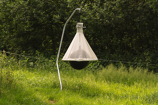 포토 JPG 해외이미지 동물 곤충 농업 공 포유류 자연 날씨 추상 사람없음 야외 환경 농촌 보호 모기 방목장 제어 해외202004 해외포토 산업 컨셉 무늬 시골 해충 생태계 파일형식 이미지허브