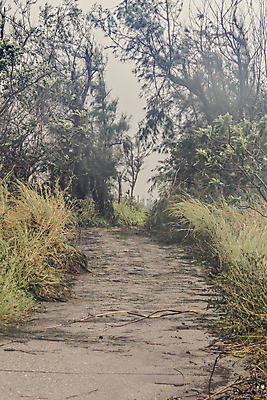 포토 JPG 해외이미지 나무 공원 도로 길 백그라운드 밭 자국 자연 하늘 풍경 사람없음 야외 세로 초록색 여름 파란색 빛 농장 환경 봄 시골 숲 오솔길 먼지 굴곡 선로 필터 해외202004 해외포토 식물 계절 공공시설 컬러 농업 교통시설 생태계 파일형식 이미지허브