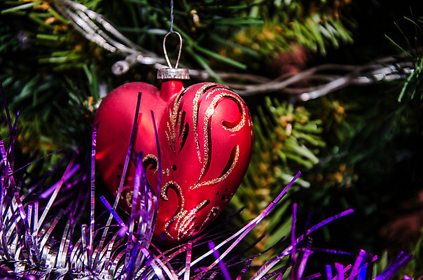 포토 JPG 해외이미지 나무 전통 디자인 커플 행복 백그라운드 크리스마스 겨울 과일 유리 휴가 전등 새로움 프레임 사탕 사람없음 장식 초록색 빛 장난감 화환 흰색 축하 신용카드 화려 황금 연도 심볼 전나무 고립 가문비나무 해외202004 해외포토 식물 계절 기념일 꽃 감정 컬러 컨셉 관계 재질 디저트 조명 금융 파일형식 이미지허브