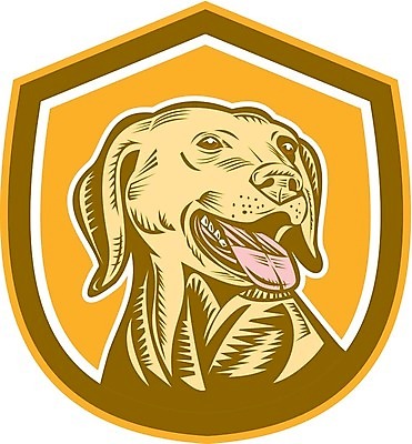 EPS 해외이미지 야생동물 일러스트 그래픽 반려동물 머리 개 래브라도리트리버 혀 방패 송곳니 목판화 해외202004 해외일러스트 동물 포유류 신체부위 입 리트리버 치아 파일형식 벡터 이미지허브