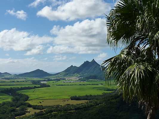 포토 JPG 해외이미지 섬 여행 백그라운드 밭 자연 하늘 산 안테나 파노라마 풍경 사람없음 초록색 여름 파란색 계곡 맑음 정상 모리셔스 해외202004 해외포토 계절 컬러 농업 통신 날씨 촬영기법 생태계 파일형식 이미지허브