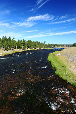 포토 JPG 해외이미지 식물 공원 여행 자연 풍경 사람없음 야외 물 강 환경 미국 흐름 소나무 개울 황무지 숲 장면 지역 서식지 내추럴 생태학 와이오밍 전국 현재 해외202004 해외포토 자연요소 나무 공공시설 교육 컨셉 북아메리카 생태계 파일형식 이미지허브