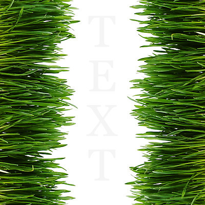 포토 JPG 해외이미지 식물 계절 백그라운드 잎 밭 농업 자연 건강 잔디 사람없음 초록색 농장 우주 환경 정원 봄 활발 성장 흰색 시골 신선 칼날 큼 땅 밀 유기농 내추럴 고립 해외202004 해외포토 웰빙 산업 컬러 컨셉 곡류 크기 생태계 파일형식 이미지허브