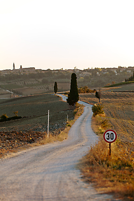 포토 JPG 해외이미지 나무 유럽 밭 농업 자연 풍경 사람없음 여름 농가 평화 환경 고요 이탈리아 달력 성장 가을 시골 만취 언덕 그림 올리브 포도밭 땅바닥 시에나 토스카나 수평선 해외202004 해외포토 식물 계절 열매 나라 산업 컨셉 바닥 농장 생태계 술취함 파일형식 이미지허브
