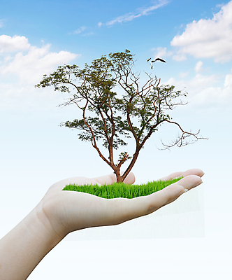 포토 JPG 해외이미지 나무 손 계절 여행 백그라운드 컨셉 자연 벽지 조류 하늘 휴가 휴식 풍경 사람없음 그래픽 여름 햇빛 내추럴 해외202004 해외포토 식물 동물 신체부위 태양 생태계 파일형식 이미지허브