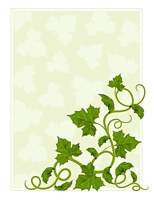 EPS 해외이미지 식물 템플릿 디자인 꽃 줄기 백그라운드 잎 꽃무늬 패턴 일러스트 자연 프레임 장식 초록색 성장 나뭇가지 모서리 버드나무 그림 질감 포도나무 내추럴 해외202004 해외일러스트 나무 컬러 무늬 과일나무 생태계 파일형식 벡터 이미지허브