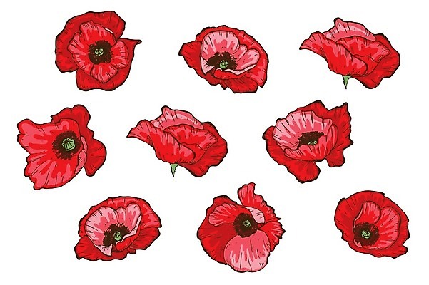 EPS 해외이미지 식물 디자인 배너 계절 꽃잎 꽃 포스터 꽃다발 백그라운드 꽃무늬 밭 일러스트 자연 휴가 내부 그래픽 장식 빨간색 초록색 세트 정원 봄 벚꽃 인사 신용카드 개화 4월 5월 다발 그림 양귀비 내추럴 고립 엘리먼트 해외202004 해외일러스트 컬러 무늬 농업 금융 예절 날짜 생태계 파일형식 벡터 이미지허브