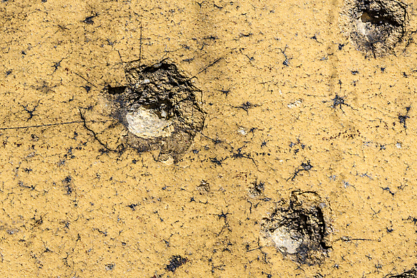 포토 JPG 해외이미지 디자인 벽 백그라운드 패턴 건축양식 벽지 표면 날씨 추상 벽돌 미술 사람없음 건물 갈색 노란색 손상 총 수확 구멍 거친 균열 목표 위험 버리기 심볼 묘사 질감 복고 전쟁 슛 먼지 총알 그런지 때리기 엘리먼트 옛날 콘크리트 해외202004 해외포토 건축물 건축 무기 컬러 컨셉 무늬 농업 모션 문화예술 파일형식 이미지허브