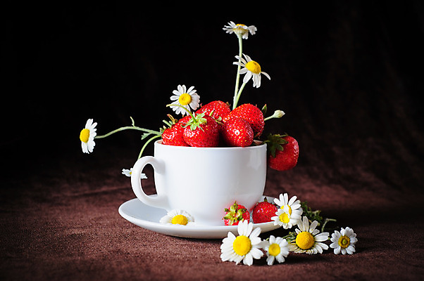 포토 JPG 해외이미지 열매 꽃 음식 꽃다발 백그라운드 과일 탁자 딸기 검은배경 디저트 건강 사람없음 컵 빨간색 여름 컬러풀 햇빛 바구니 침묵 흰색 신선 사발 달콤 커피잔 데이지 정물화 캐모마일 갈색배경 해외202004 해외포토 식물 식기 계절 커피 컬러 가구 잔 태양 갈색 검은색 소리 사기그릇 맛 허브 그림 파일형식 이미지허브