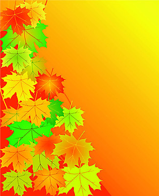 EPS 해외이미지 모양 나무 식물 디자인 계절 실루엣 줄기 백그라운드 단풍 잎 꽃무늬 패턴 곡선 오렌지 일러스트 자연 벽지 추상 프레임 미술 그래픽 장식 빨간색 초록색 노란색 가을 나뭇가지 화려 그림 유기농 해외202004 해외일러스트 웰빙 꽃 선 컬러 컨셉 무늬 과일 문화예술 촬영기법 생태계 파일형식 벡터 이미지허브