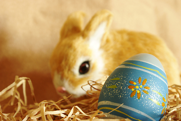 포토 JPG 해외이미지 전통 디자인 계절 종교 종이 음식 백그라운드 패턴 자연 휴가 부활절 기념 사람없음 장식 파란색 갈색 계란 축제 페인트 봄 껍질 시골 축하 토끼 닫기 둥지 4월 심볼 질감 사냥 심플 무생채 파스텔톤 핸드메이드 스타일 카피스페이스 해외202004 해외포토 기념일 컬러 컨셉 무늬 포유류 모션 반려동물 알 공백 날짜 생태계 파일형식 이미지허브