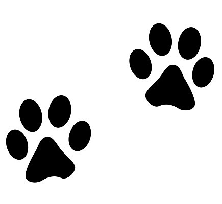 EPS 해외이미지 모양 동물 디자인 실루엣 백그라운드 일러스트 그래픽 반려동물 검은색 고양이 웹 흰색 개 인쇄 발자국 심볼 흔적 사인 심플 고립 선로 양발 자취 해외202004 해외일러스트 컬러 인터넷 포유류 자국 촬영기법 파일형식 벡터 이미지허브