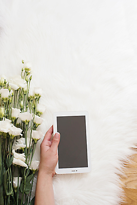 포토 JPG 해외이미지 라이프스타일 여자 꽃 꽃다발 백그라운드 컨셉 비즈니스 장신구 통신 모바일 휴식 바닥 주택 아이디어 털 건강 앉기 사람없음 목재 세로 사무실 알약 유행 공책 방 흰색 업무 작업 고급 정상 주식 연습 리빙 블로거 스칸디나비아 프리랜서 방식 해외202004 해외포토 나무 식물 직업 컬러 재료 모션 문구용품 사람 건물 생활 금융 약 파일형식 이미지허브