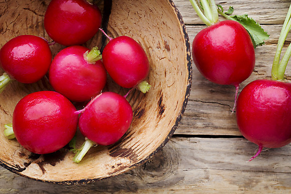 포토 JPG 해외이미지 식물 음식 백그라운드 잎 채소 재료 자연 탁자 건강 사람없음 목재 빨간색 초록색 농작물 성장 신선 작음 다발 먹기 유기농 날것 뿌리 흙더미 숙성 채식주의자 총각무 해외202004 해외포토 나무 웰빙 컬러 가구 농업 모션 흙 크기 무 생태계 채식 파일형식 더미 이미지허브