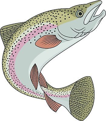 EPS 해외이미지 동물 캐릭터 야생동물 음식 스포츠 바다 포즈 백그라운드 무지개 일러스트 모션 자연 낚시 건강 어류 요리 초록색 햇빛 점프 잡기 점 달콤 큼 만화 먹기 가득함 싱글 코믹 지느러미 연어 잉어 고립 민물 송어 해외202004 해외일러스트 일러캐릭터 자연요소 컬러 레저 태양 수중동물 맛 크기 생태계 파일형식 벡터 이미지허브