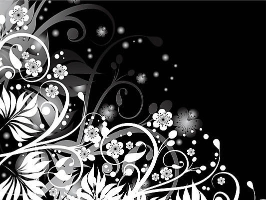 EPS 해외이미지 모양 식물 디자인 배너 백그라운드 잎 꽃무늬 패턴 곡선 일러스트 추상 프레임 미술 장식 페인트 소용돌이 나뭇가지 점 화려 우아함 심볼 질감 그런지 엘리먼트 해외202004 해외일러스트 나무 꽃 선 컨셉 무늬 문화예술 회오리 파일형식 벡터 이미지허브