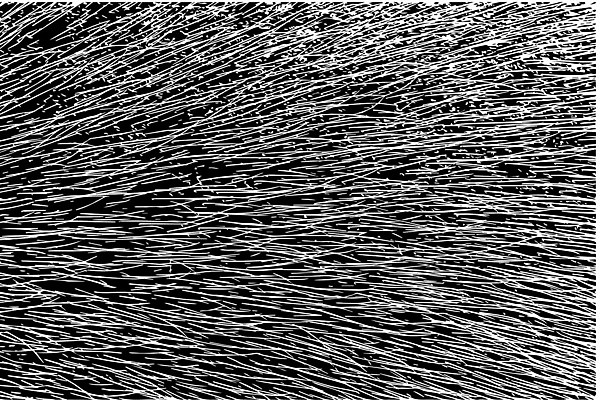 EPS 해외이미지 디자인 선 백그라운드 패턴 일러스트 자연 벽지 추상 털 미술 그래픽 검은색 흰색 직물 질감 내추럴 엘리먼트 스타일 해외202004 해외일러스트 컬러 무늬 문화예술 생태계 파일형식 벡터 이미지허브