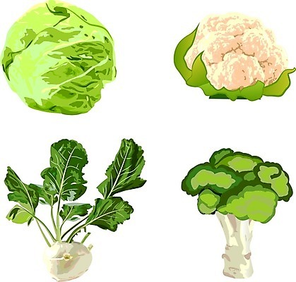 EPS 해외이미지 클립아트 식물 디자인 음식 컨셉 잎 농업 다이어트 채소 일러스트 재료 건강 요리 초록색 농장 머리 주방 정원 식사 샐러드 수확 신선 시장 상추 브로콜리 먹기 유기농 양배추 날것 내추럴 숙성 온실 채식주의자 콜라비 그리너리 비건 해외202004 해외일러스트 웰빙 산업 컬러 모션 신체부위 채식 파일형식 벡터 트랜드컬러 이미지허브