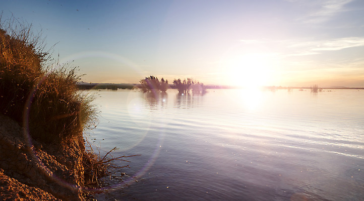 포토 JPG 해외이미지 나무 구름 계절 공원 호수 여행 백그라운드 자연 하늘 아침 불꽃 풍경 사람없음 야외 물 여름 파란색 빛 강 컬러풀 태양 반사 평화 일출 일몰 봄 새벽 시골 가장자리 강가 넘어짐 수평선 해외202004 해외포토 주간 자연요소 식물 공공시설 컬러 컨셉 모션 불 노을 둘레 생태계 파일형식 이미지허브