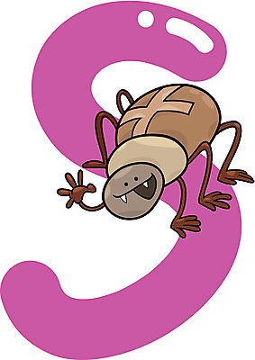 EPS 해외이미지 동물 캐릭터 디자인 알파벳 교육 행복 어린이 곤충 일러스트 교실 학교 종류 그래픽 책 유치원 게임 가르침 어플리케이션 만화 편지 심볼 사인 코믹 거미 페이지 S 동물상 맞춤법 해외202004 해외일러스트 일러캐릭터 영어 감정 놀이 사람 한글 조형물 파일형식 벡터 이미지허브