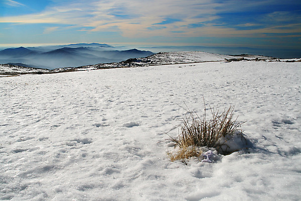 포토 JPG 해외이미지 계절 도로 여행 겨울 자연 하늘 스키 산 주택 풍경 경사 사람없음 파란색 울타리 얼음 하이킹 추위 흰색 신선 가루 언덕 암초 웅장함 절정 해외202004 해외포토 자연요소 길 컬러 교통시설 레저 겨울스포츠 건물 담장 생태계 파일형식 이미지허브