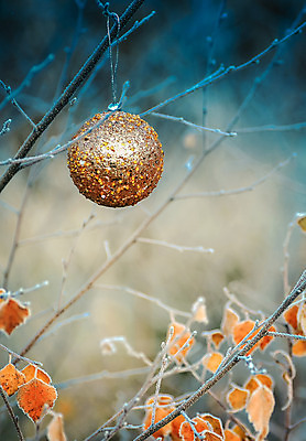 포토 JPG 해외이미지 나무 전통 디자인 계절 행복 백그라운드 크리스마스 겨울 자연 휴가 새로움 매달리기 사람없음 장식 빛 노란색 장식볼 흰색 나뭇가지 축하 인사 신용카드 황금 숲 12월 연도 자작나무 내추럴 여의주 해외202004 해외포토 식물 기념일 감정 컬러 컨셉 모션 금융 예절 날짜 생태계 파일형식 이미지허브