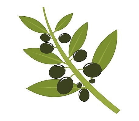 EPS 해외이미지 식물 음식 잎 채소 일러스트 재료 자연 건강 초록색 픽토그램 웹 나뭇가지 신선 심볼 그리스 사인 유기농 올리브 내추럴 채식주의자 추가 해외202004 해외일러스트 나무 웰빙 열매 유럽 컬러 인터넷 생태계 채식 파일형식 벡터 이미지허브