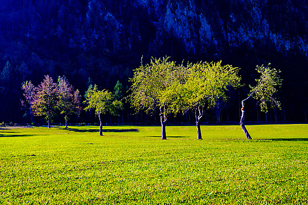 포토 JPG 해외이미지 나무 구름 계절 음식 여행 백그라운드 잎 밭 농업 과일 자연 하늘 산 파노라마 풍경 사람없음 야외 빨간색 초록색 여름 파란색 농장 환경 정원 봄 성장 가을 흰색 나뭇가지 시골 신선 사과 과수원 내추럴 밭일 숙성 해외202004 해외포토 자연요소 식물 산업 컬러 촬영기법 생태계 파일형식 이미지허브