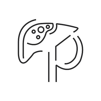 EPS 해외이미지 클립아트 교육 백그라운드 신체 일러스트 해부 생물 엑스레이 미술 사람 그래픽 치료 오르간 질병 만화 그림 생물학 클립 간 시스템 암 췌장 증상 해외202004 해외일러스트 의학 문화예술 건반악기 장기 파일형식 벡터 악기 건반 음악 이미지허브