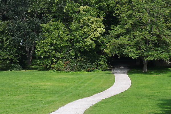 포토 JPG 해외이미지 나무 도로 길 잎 자국 자연 요정 이야기 풍경 사람없음 목재 초록색 산책 펼침 자신감 황무지 숲 위험 신비 오솔길 무서움 시작 영토 깊이 방법 삼림지대 카피스페이스 오싹 해외202004 해외포토 식물 감정 컬러 컨셉 재료 교통시설 모션 휴식 공백 생태계 파일형식 이미지허브
