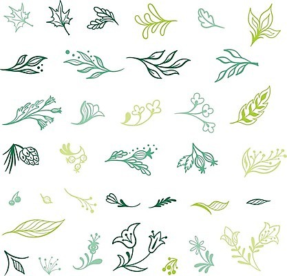 EPS 해외이미지 나무 식물 손 디자인 꽃 백그라운드 잎 일러스트 자연 건강 그래픽 장식 초록색 세트 화환 봄 수확 흰색 나뭇가지 화려 낙서 스케치 심볼 고민 그림 올리브 복고 내추럴 고립 엘리먼트 해외202004 해외일러스트 계절 열매 감정 컬러 컨셉 농업 미술 신체부위 생태계 파일형식 벡터 이미지허브