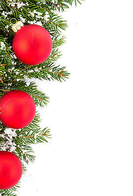 포토 JPG 해외이미지 나무 식물 템플릿 행복 포스터 백그라운드 크리스마스 겨울 자연 휴가 새해 프레임 선물 사람없음 장식 초록색 우주 축제 공백 방 추위 흰색 나뭇가지 축하 신용카드 숲 정사각형 뼈대 상록수 침엽수 전나무 원뿔 내추럴 고립 구성 가문비나무 해외202004 해외포토 도형 계절 기념일 감정 컬러 컨셉 금융 생태계 파일형식 이미지허브