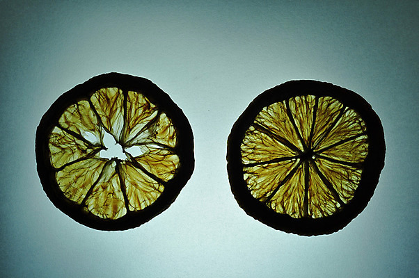 포토 JPG 해외이미지 음식 조각 백그라운드 2 다이어트 오렌지 과일 자연 귤 건조 건강 사람없음 빛 검은색 어둠 흰색 신선 원형 맛 정상 자르기 먹기 싱글 상쾌 질감 슬라이스 고립 해외202004 해외포토 도형 감정 컬러 컨셉 모션 생태계 파일형식 이미지허브