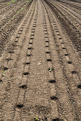 포토 JPG 해외이미지 밭 농업 사람없음 야외 태양 농장 농경지 환경 정원 흙 성장 시골 구멍 땅 만취 준비 원예 땅바닥 밭일 해외202004 해외포토 자연요소 산업 바닥 취미 술취함 파일형식 이미지허브