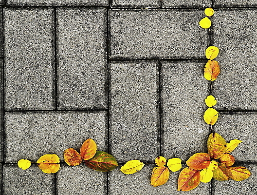 포토 JPG 해외이미지 나무 식물 유럽 백그라운드 자연 아침 미래 산 풍경 사람없음 야외 목재 초록색 여름 빛 햇빛 태양 마을 환경 침묵 봄 산책 성장 광선 신선 도시 소나무 숲 장면 침엽수 전나무 개발 가문비나무 해외202004 해외포토 주간 자연요소 계절 나라 컬러 컨셉 재료 휴식 소리 생태계 파일형식 이미지허브