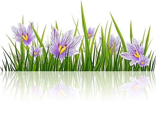 EPS 해외이미지 식물 계절 꽃 꽃무늬 일러스트 자연 초록색 정원 보라색 봄 벚꽃 개화 제비꽃 내추럴 사프란 해외202004 해외일러스트 컬러 무늬 향신료 생태계 파일형식 벡터 이미지허브