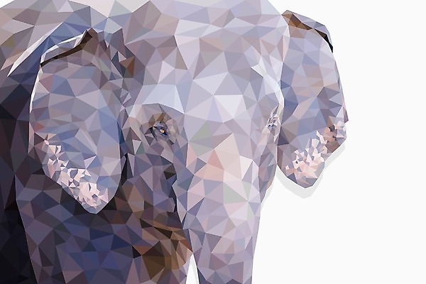 EPS 해외이미지 모양 동물 디자인 응시 포스터 아시아 얼굴 야생동물 백그라운드 컨셉 일러스트 포유류 자연 코끼리 미술 그래픽 장식 머리 유행 흰색 숲 큼 먹이 배고픔 심볼 사파리 오브젝트 종이접기 주둥이 동물상 엘리먼트 폴리곤 혼자 아바타 스타일 해외202004 해외일러스트 시선 나라 종이 컬러 문화예술 신체부위 조형물 크기 생태계 접기 파일형식 벡터 이미지허브