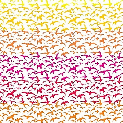 EPS 해외이미지 모양 동물 계절 실루엣 야생동물 날개 일러스트 가족 자연 갈매기 조류 하늘 휴가 휴식 종류 그림자 야외 여름 세트 자유 그리기 그룹 공작 숲 왜가리 문신 심볼 깃털 비둘기 앵무새 윤곽 독수리 철사 까마귀 해외202004 해외일러스트 컨셉 관계 모션 촬영기법 생태계 파일형식 벡터 이미지허브