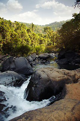 포토 JPG 해외이미지 자연 하늘 따뜻함 손바닥 풍경 사람없음 야외 세로 물 여름 강 컬러풀 활발 젖음 흐름 바위 개울 숲 열대우림 강렬 해외202004 해외포토 자연요소 손 계절 컬러 컨셉 돌_바위 생태계 파일형식 이미지허브